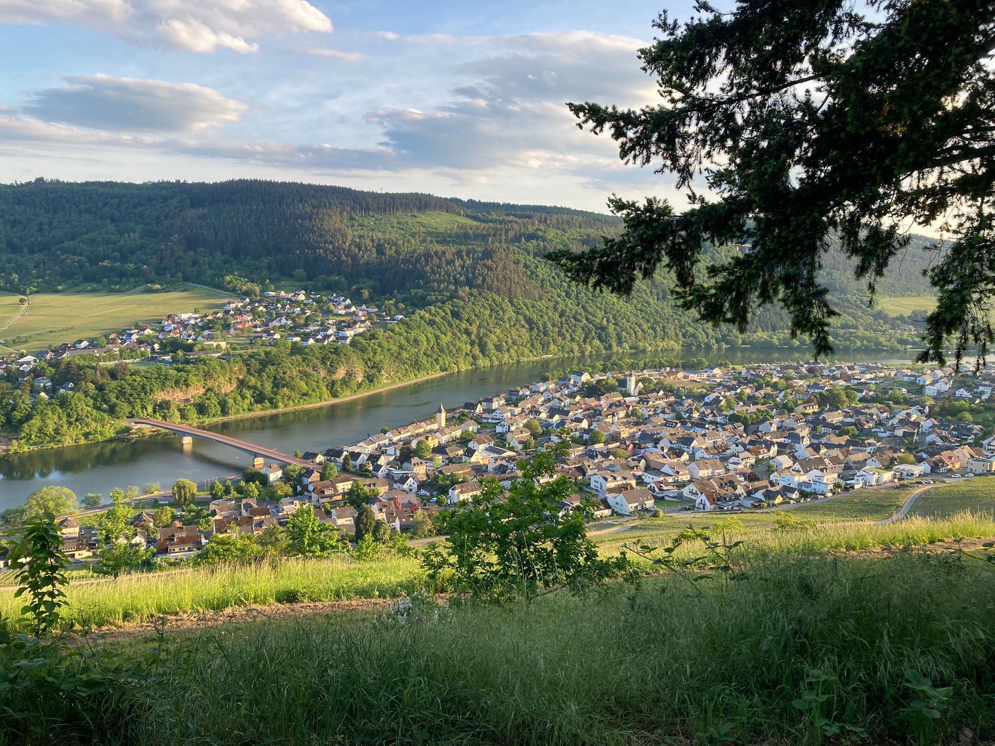 Blick von der Weinbergskapelle im Mai 2026 (c) E. Vanecek Blick von der Weinbergskapelle im Mai 2026