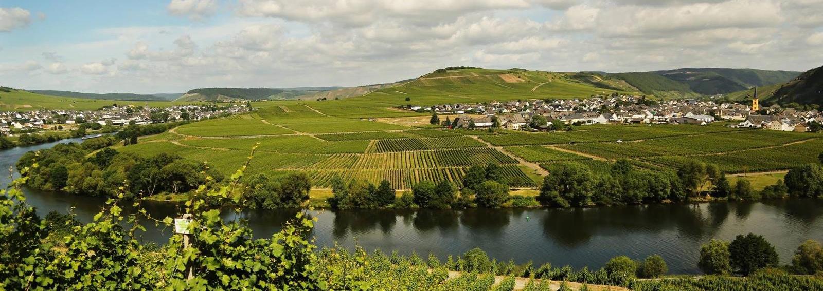 Moselschleife bei Leiwen und Trittenheim