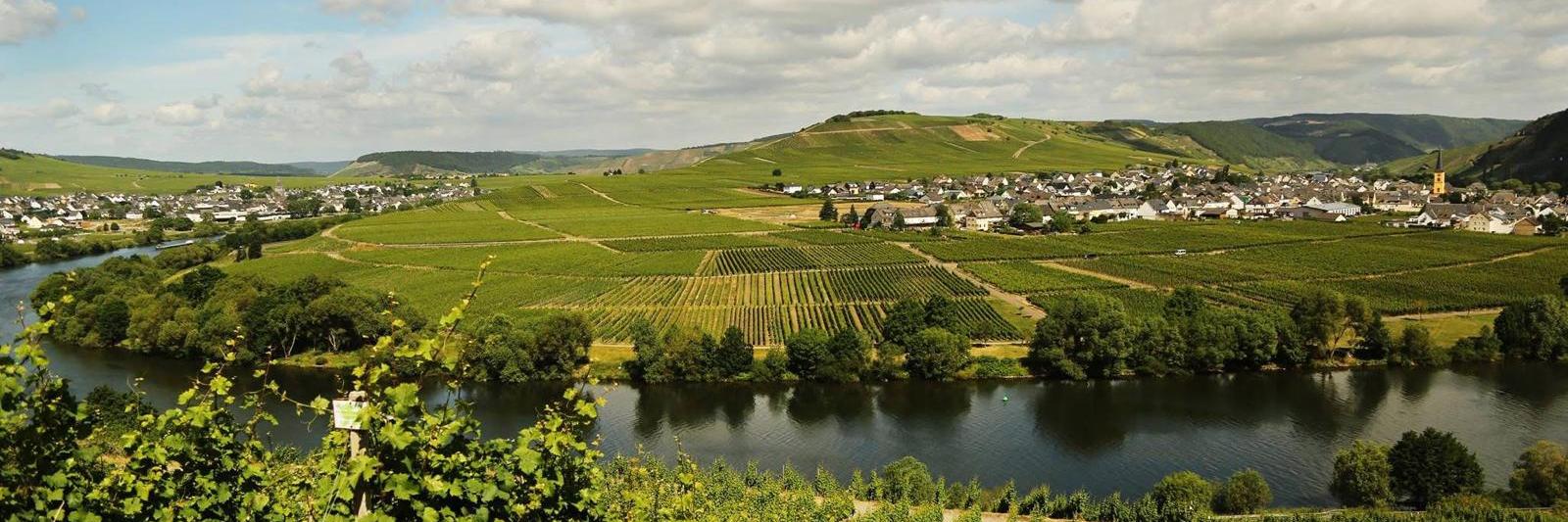 Moselschleife bei Leiwen und Trittenheim