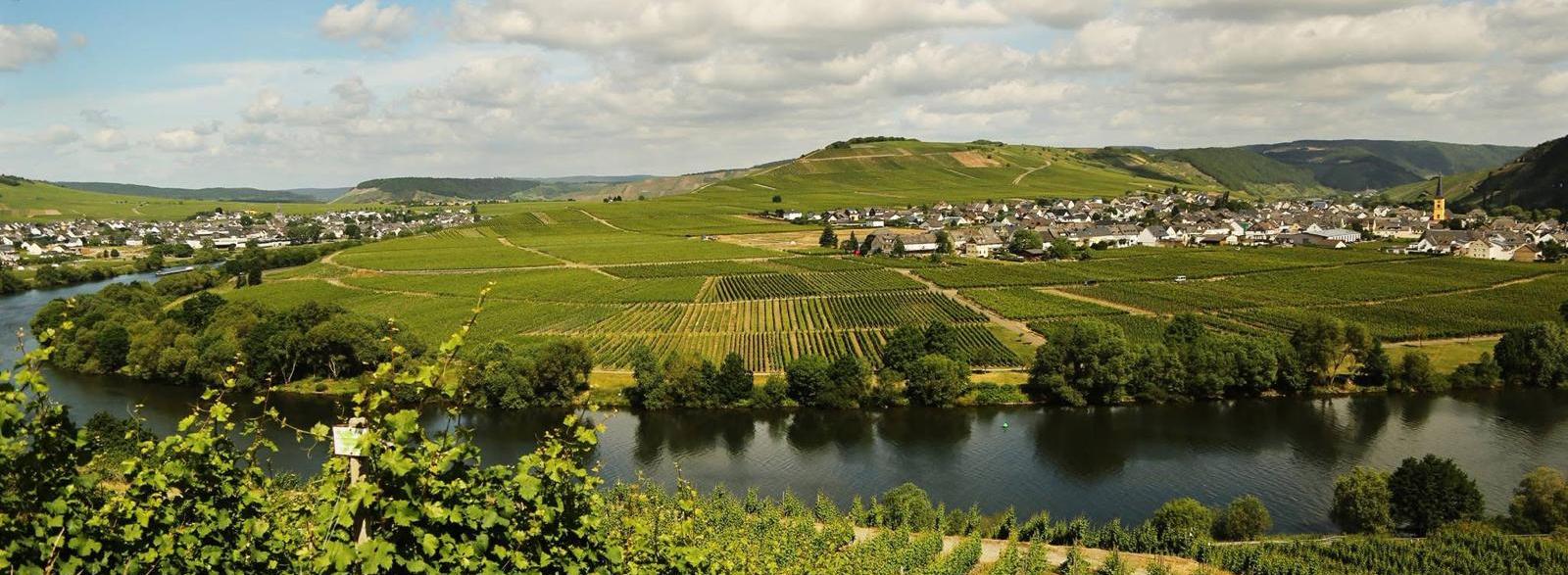 Moselschleife bei Leiwen und Trittenheim