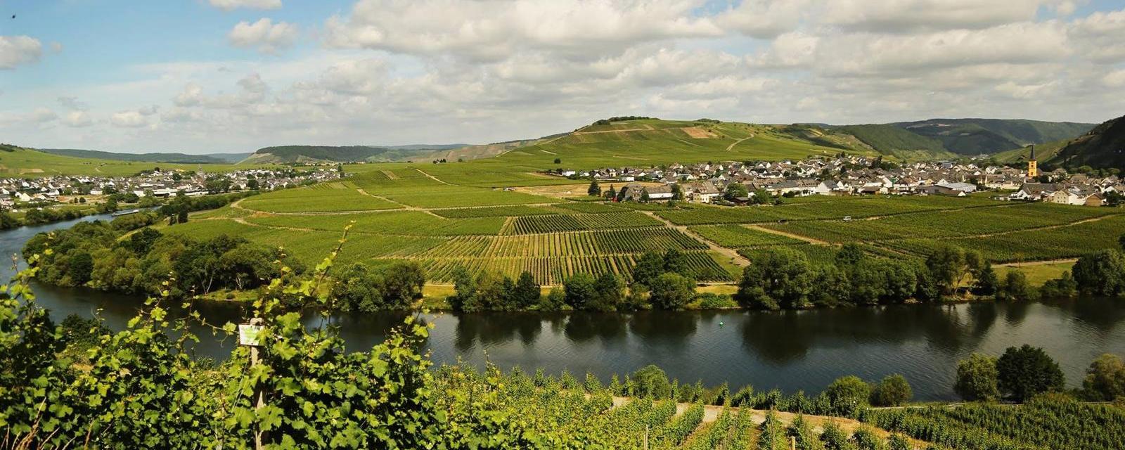 Moselschleife bei Leiwen und Trittenheim