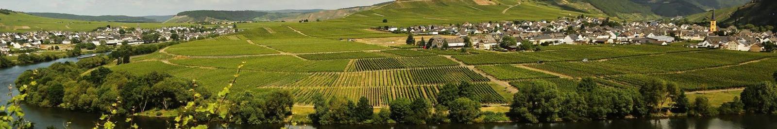 Moselschleife bei Leiwen und Trittenheim